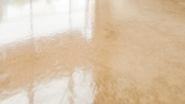 Polished Concrete Floors Canberra example 2